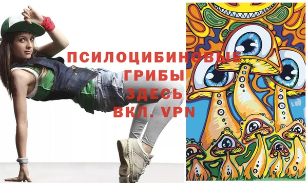 бутик Няндома
