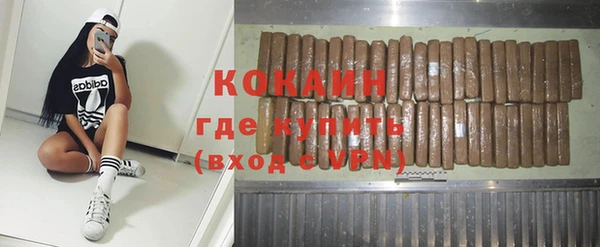 шишки Алексин
