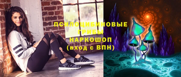 apvp Алзамай