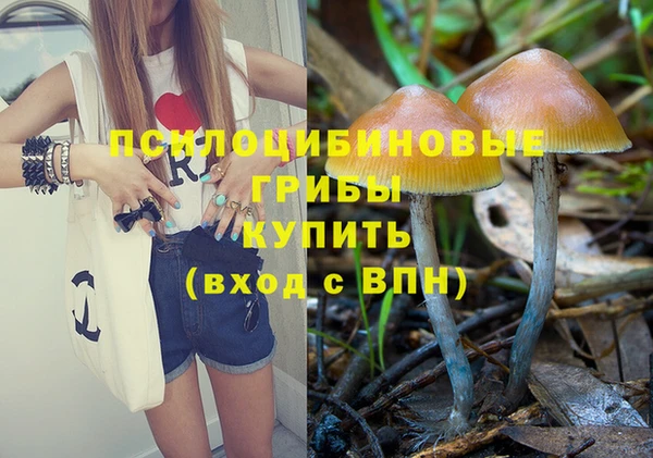 apvp Алзамай