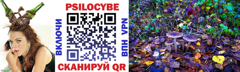 Псилоцибиновые грибы GOLDEN TEACHER Суджа