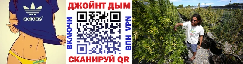 Канабис Bruce Banner Суджа